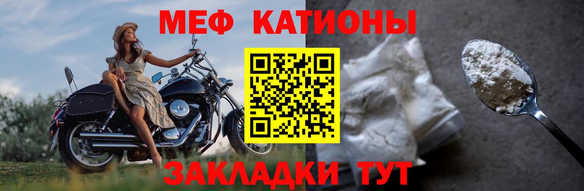 МЕФ  Курчатов