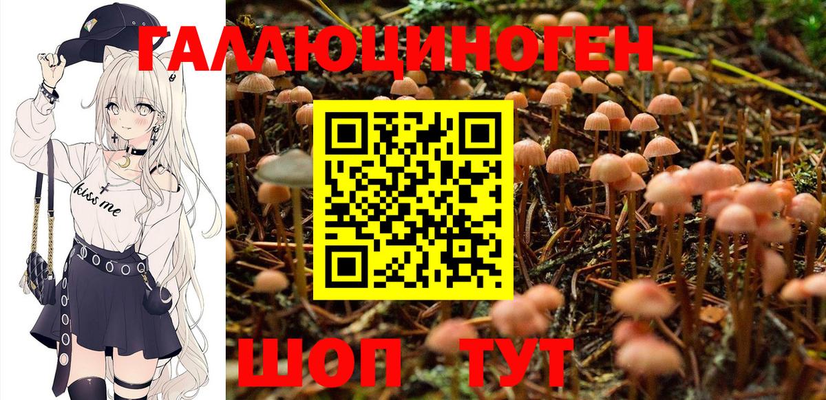 Псилоцибиновые грибы ЛСД Курчатов